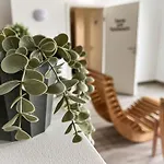 Haus Horizont Hz10 Apartament Cuxhaven